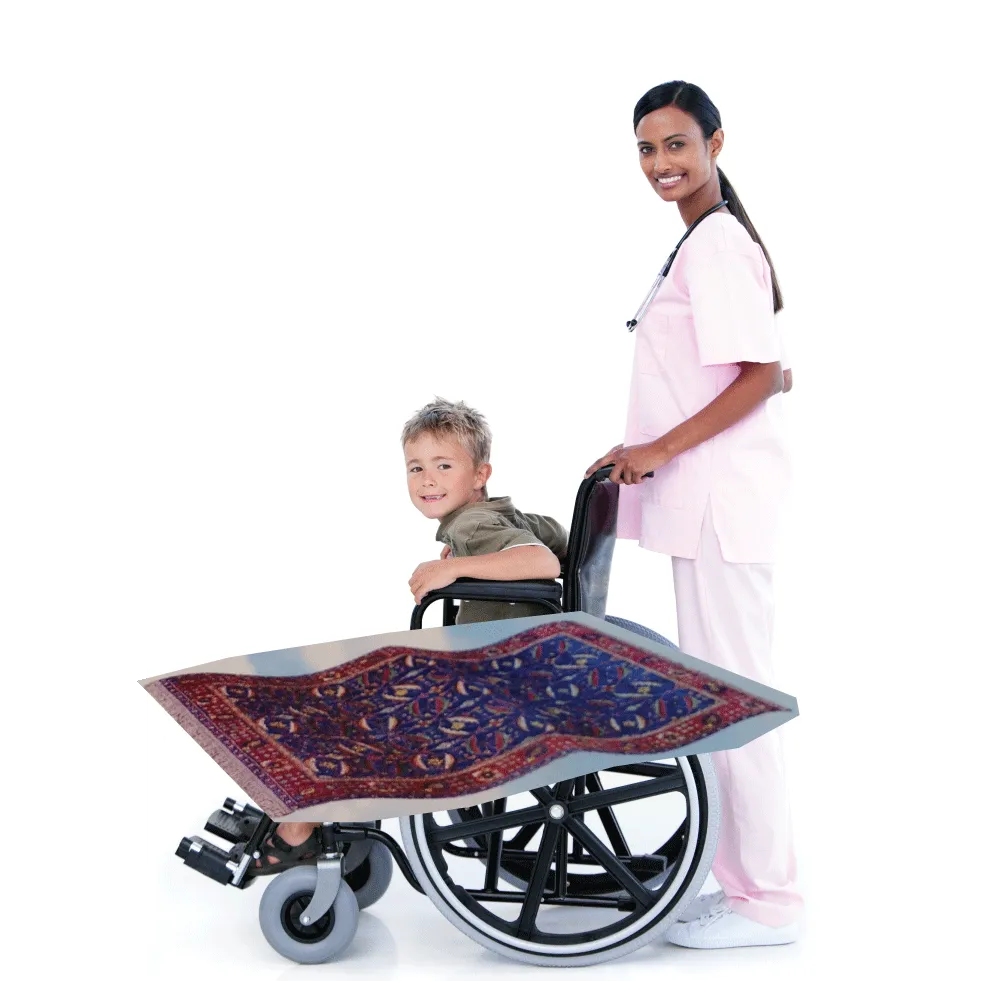 Aladdin Flying Carpet Lookalike Wheelchair Costume Child'