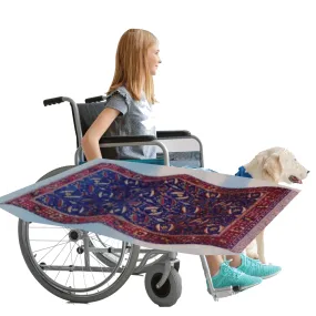 Aladdin Flying Carpet Lookalike Wheelchair Costume Child'