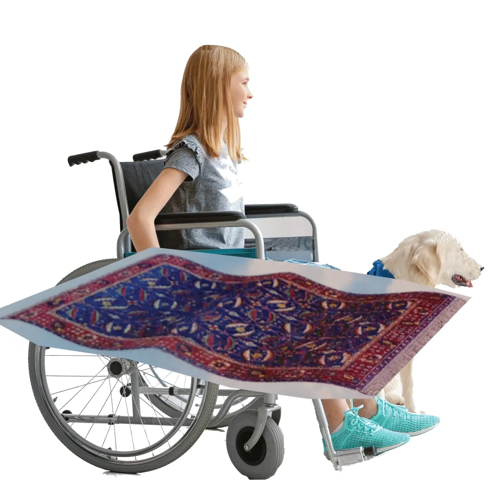 Aladdin Flying Carpet Lookalike Wheelchair Costume Child'