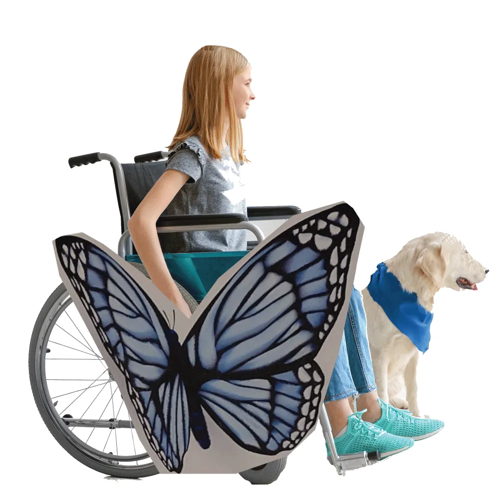 Blue Butterfly Wheelchair Costume Child's