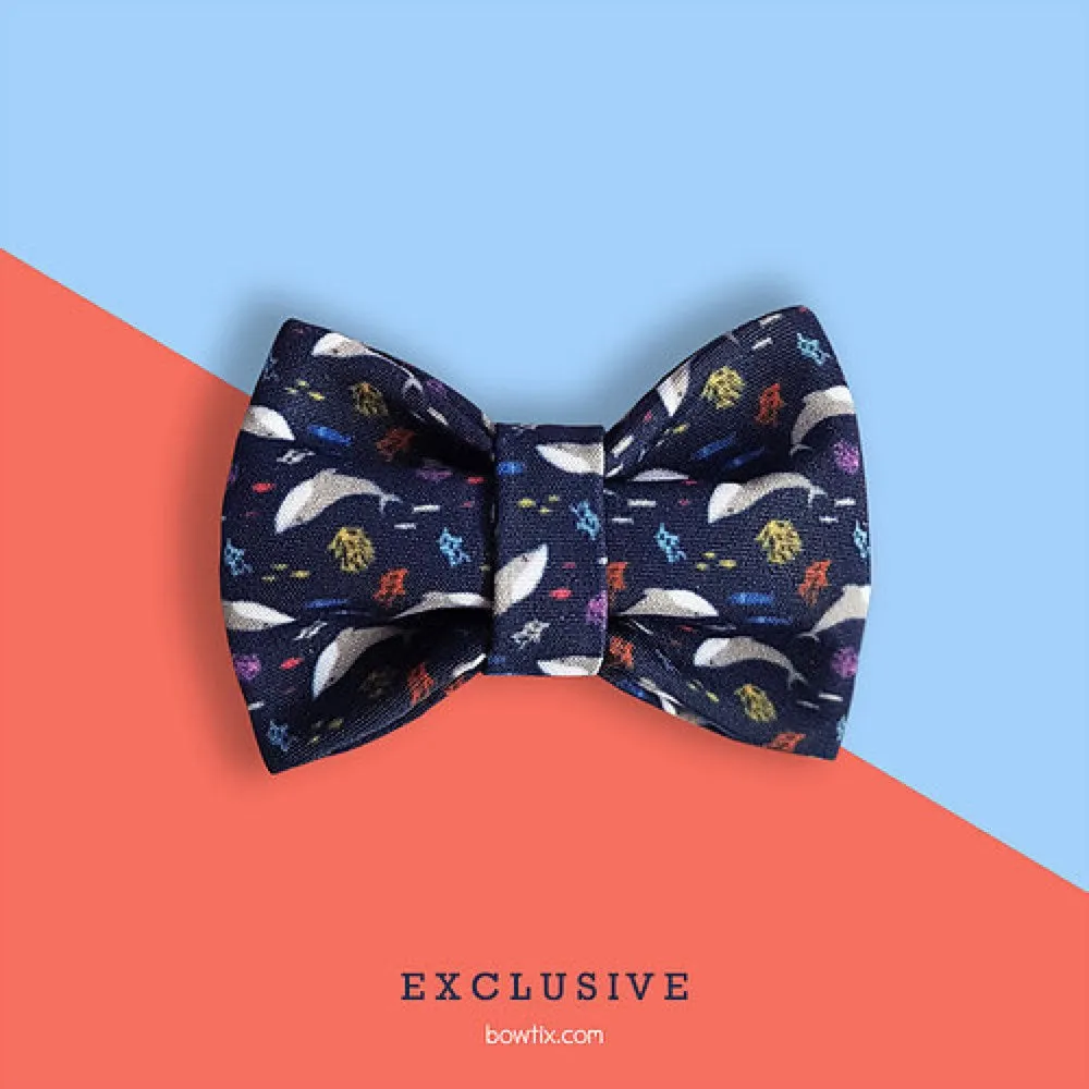 Bowtix Handmade Dog Collar With Removable Bowtie - Seas The Day