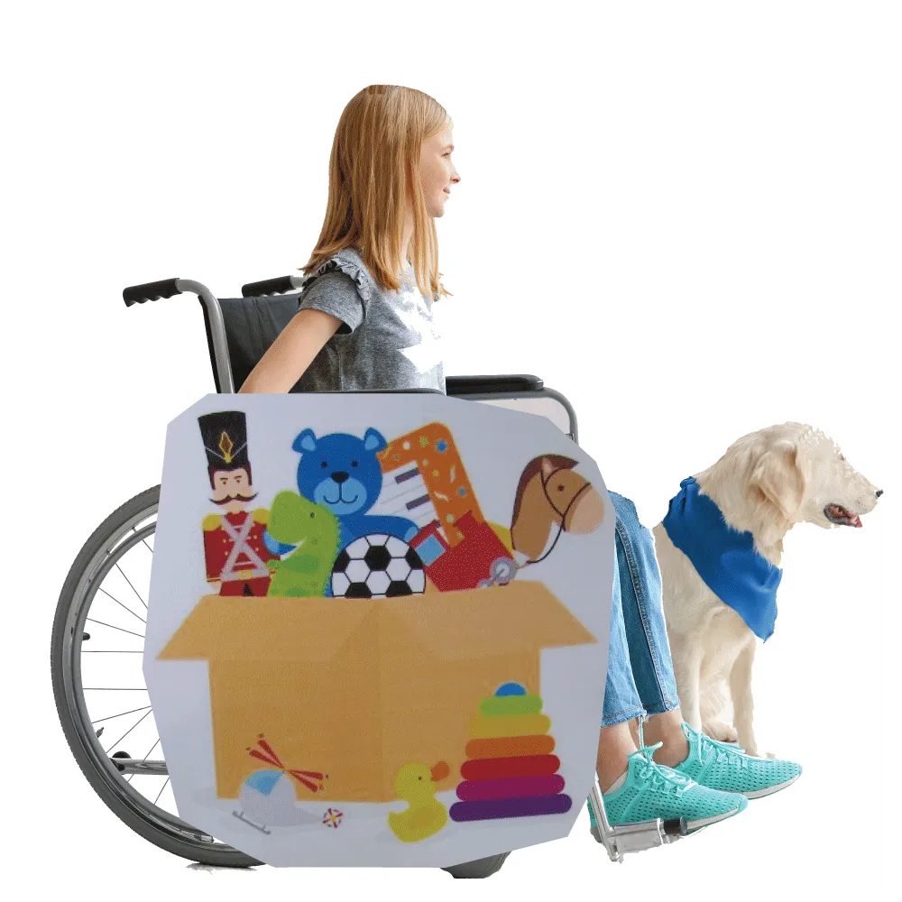 Box Of Toys Wheelchair Costume Child's