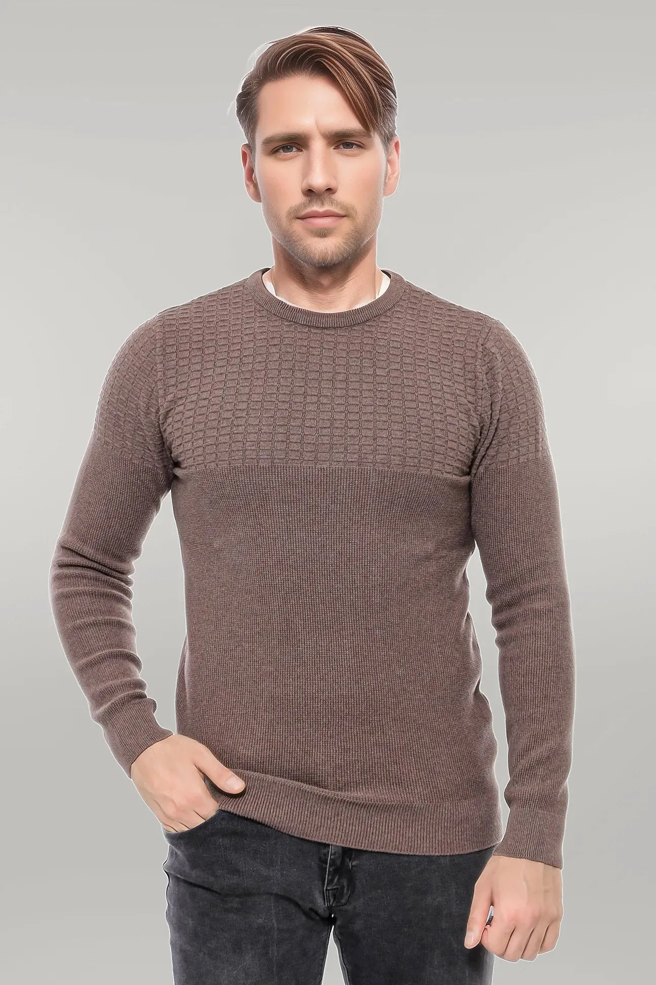 Circle Neck Patterned Mink Men Knitwear - Wessi