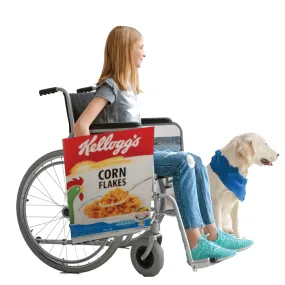 Corn Flakes Lookalike Box Wheelchair Costume Child's