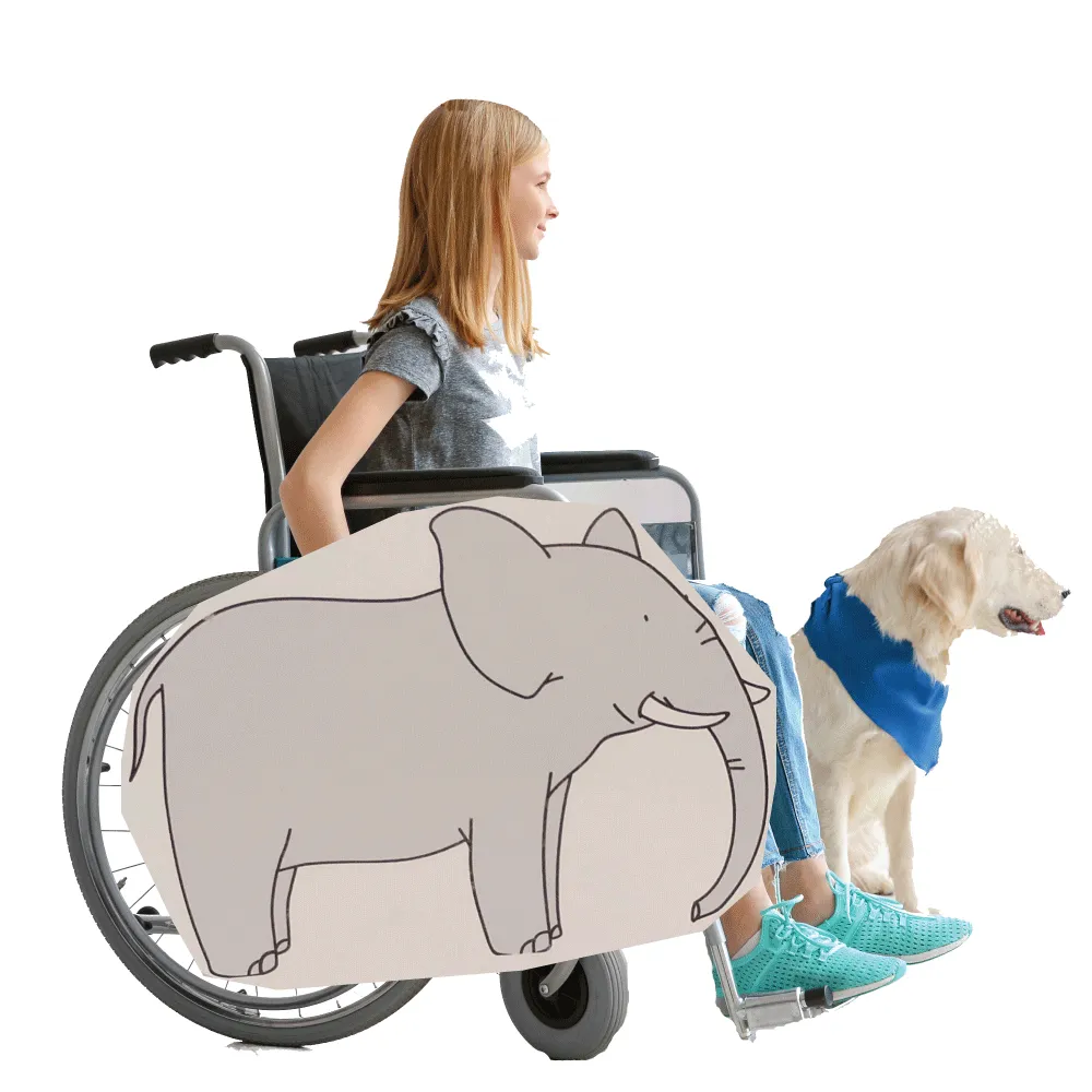 Elephant 2 Wheelchair Costume Child's