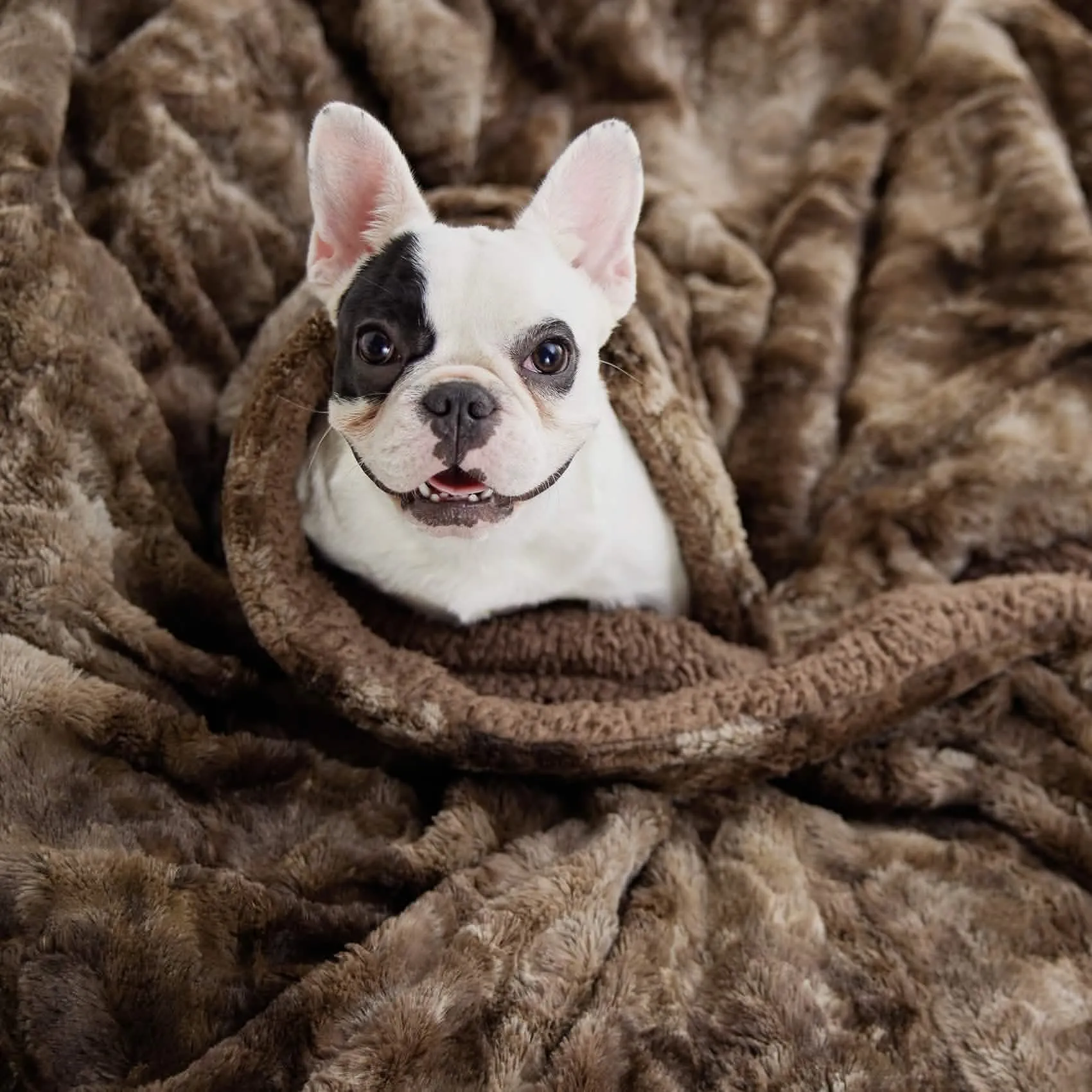 Faux Fur and Sherpa Tie-dye Reversible Blanket