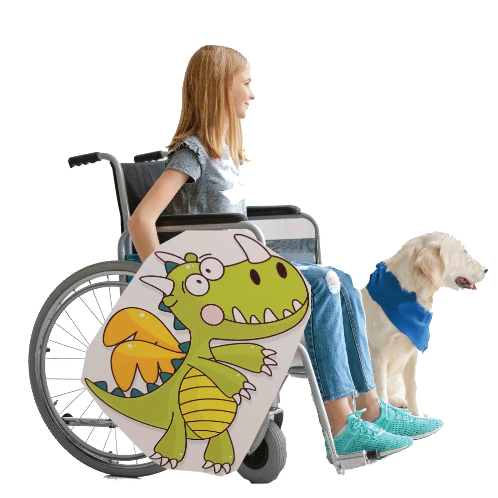 Flying Dragon Wheelchair Costume Child's