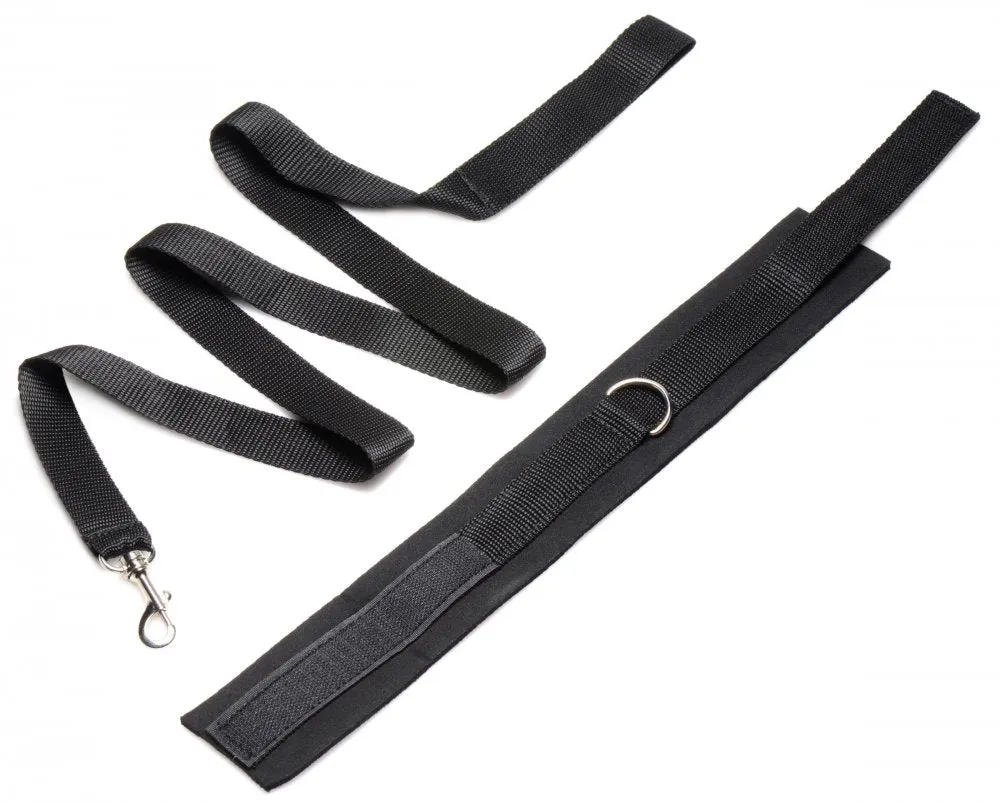 Frisky Leash and Collar Set