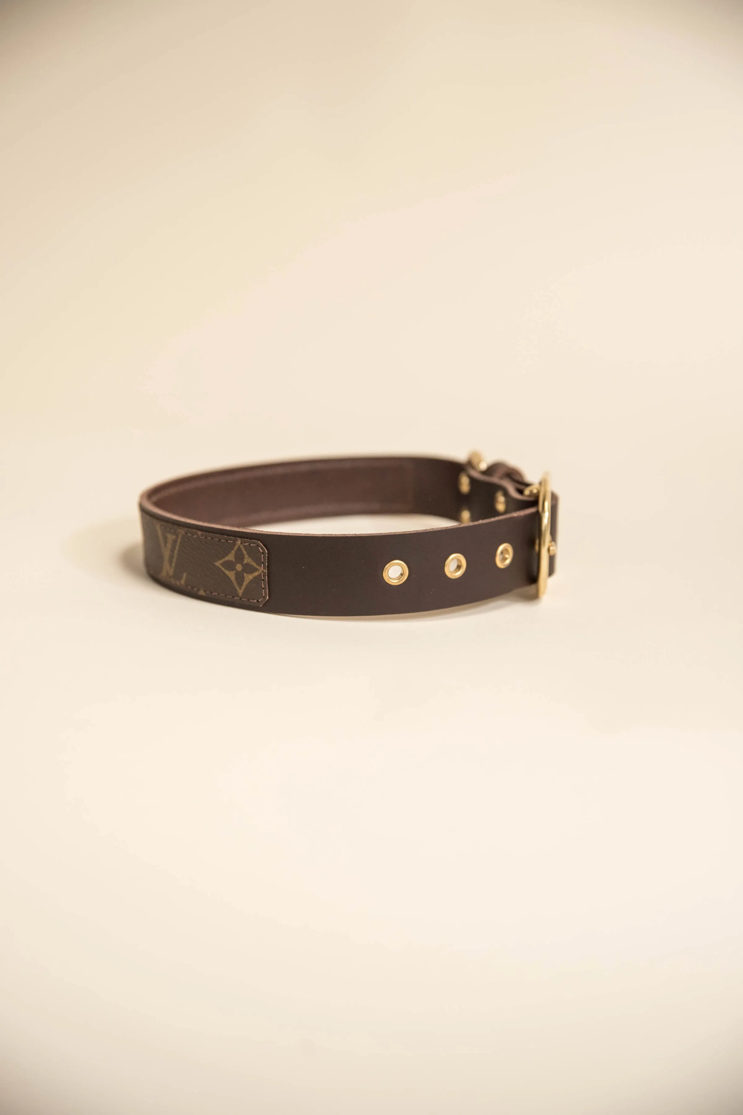 LV Dog Collar