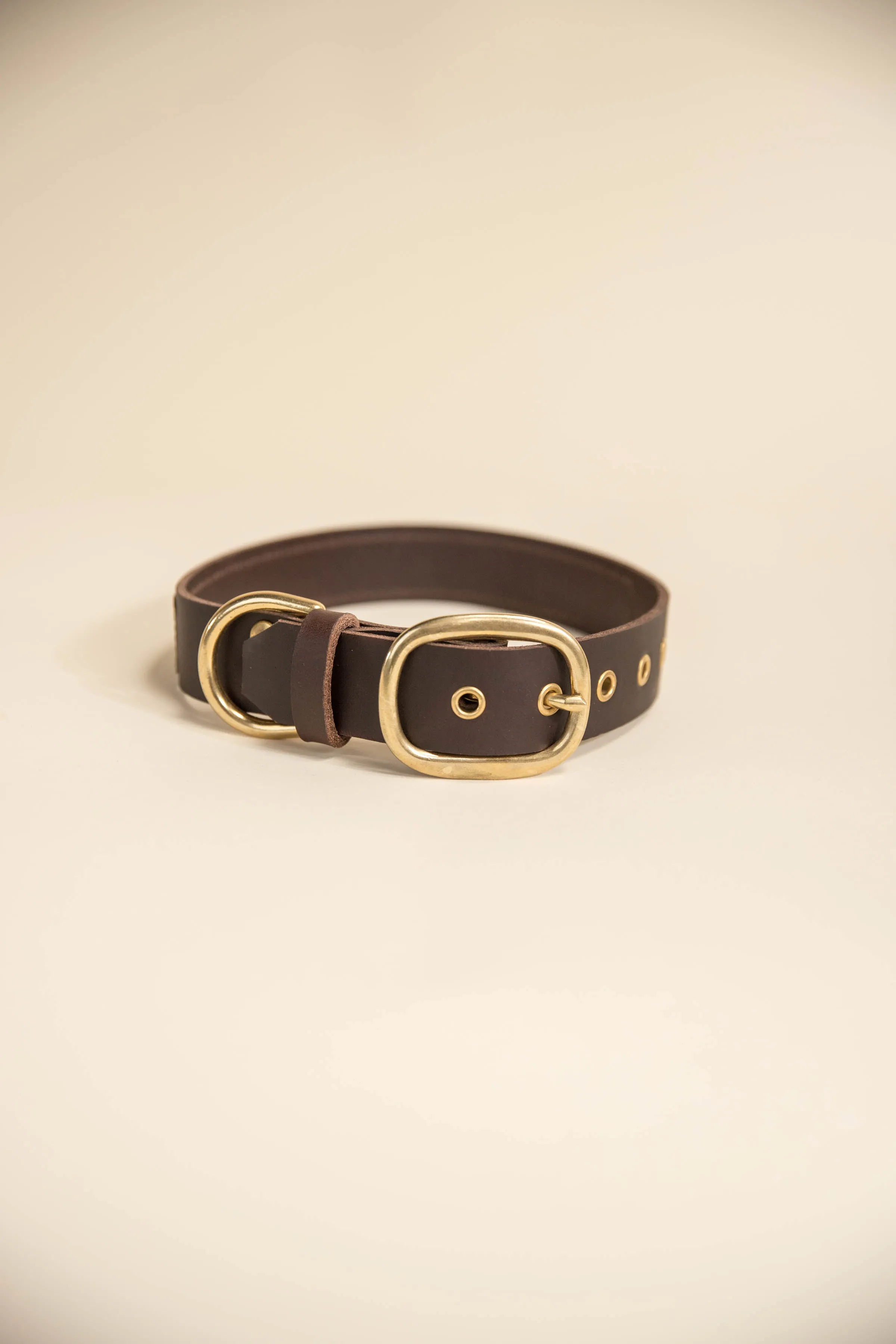 LV Dog Collar