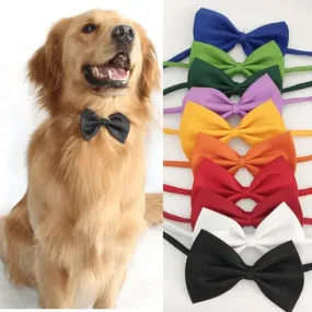 Pet Bowtie Collar Stylish and Adjustable Fashion for Dogs