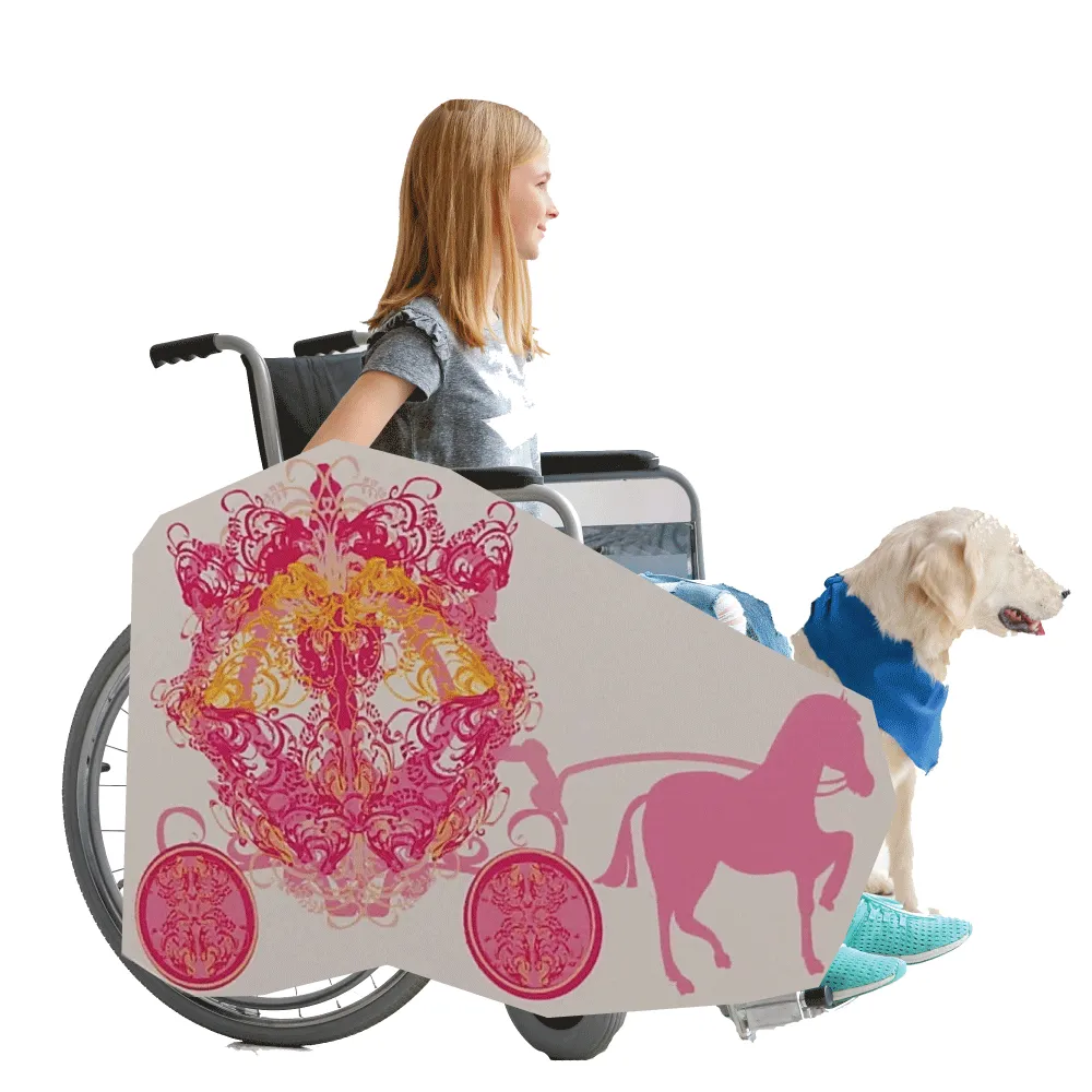 Princess Horse and Buggy 3 Wheelchair Costume Child's