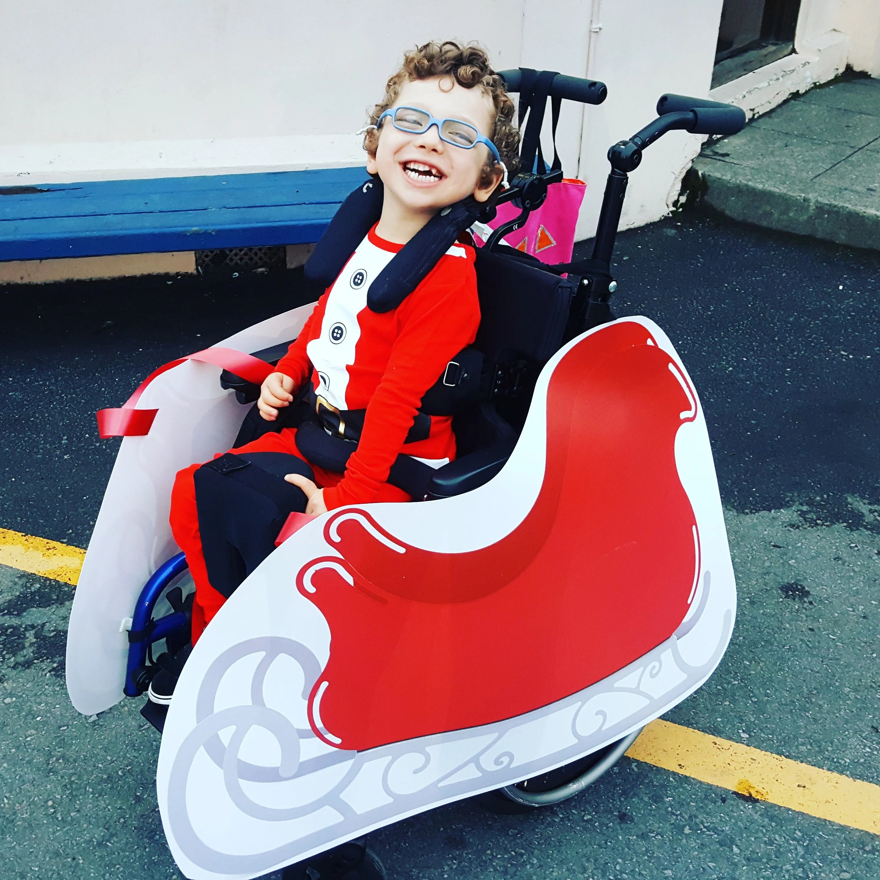 Santa's Sleigh Wheelchair Costume Child's