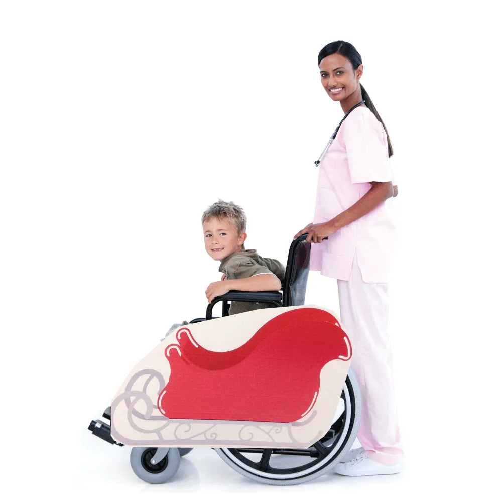 Santa's Sleigh Wheelchair Costume Child's