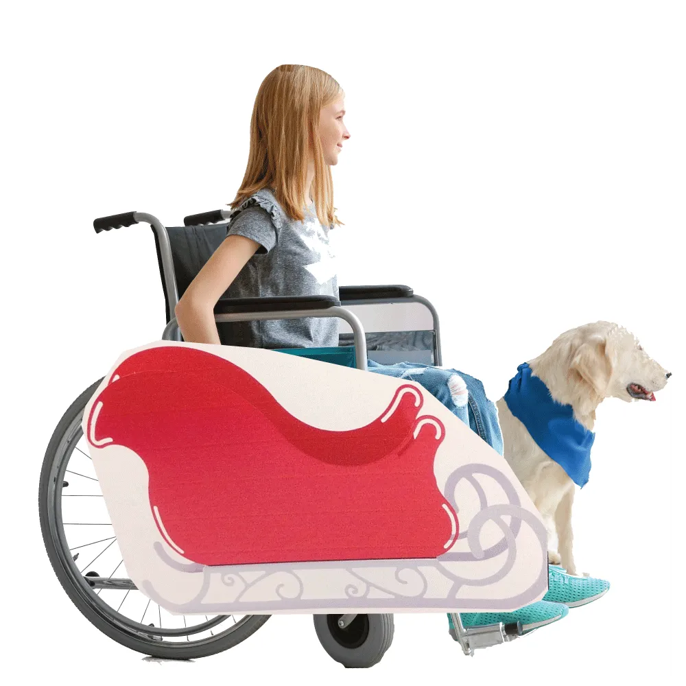 Santa's Sleigh Wheelchair Costume Child's