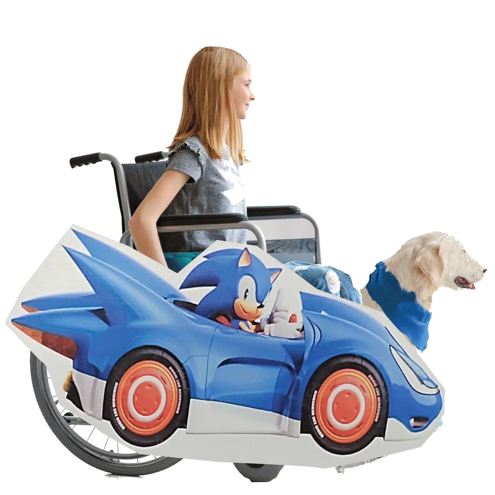 Sonic Car Lookalike Wheelchair Costume Child's