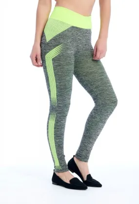 Striped Seamless Print Legging